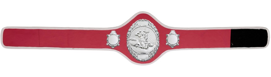 MMA CHAMPIONSHIP BELT-PRO286/S/MMAS-10+ COLOURS